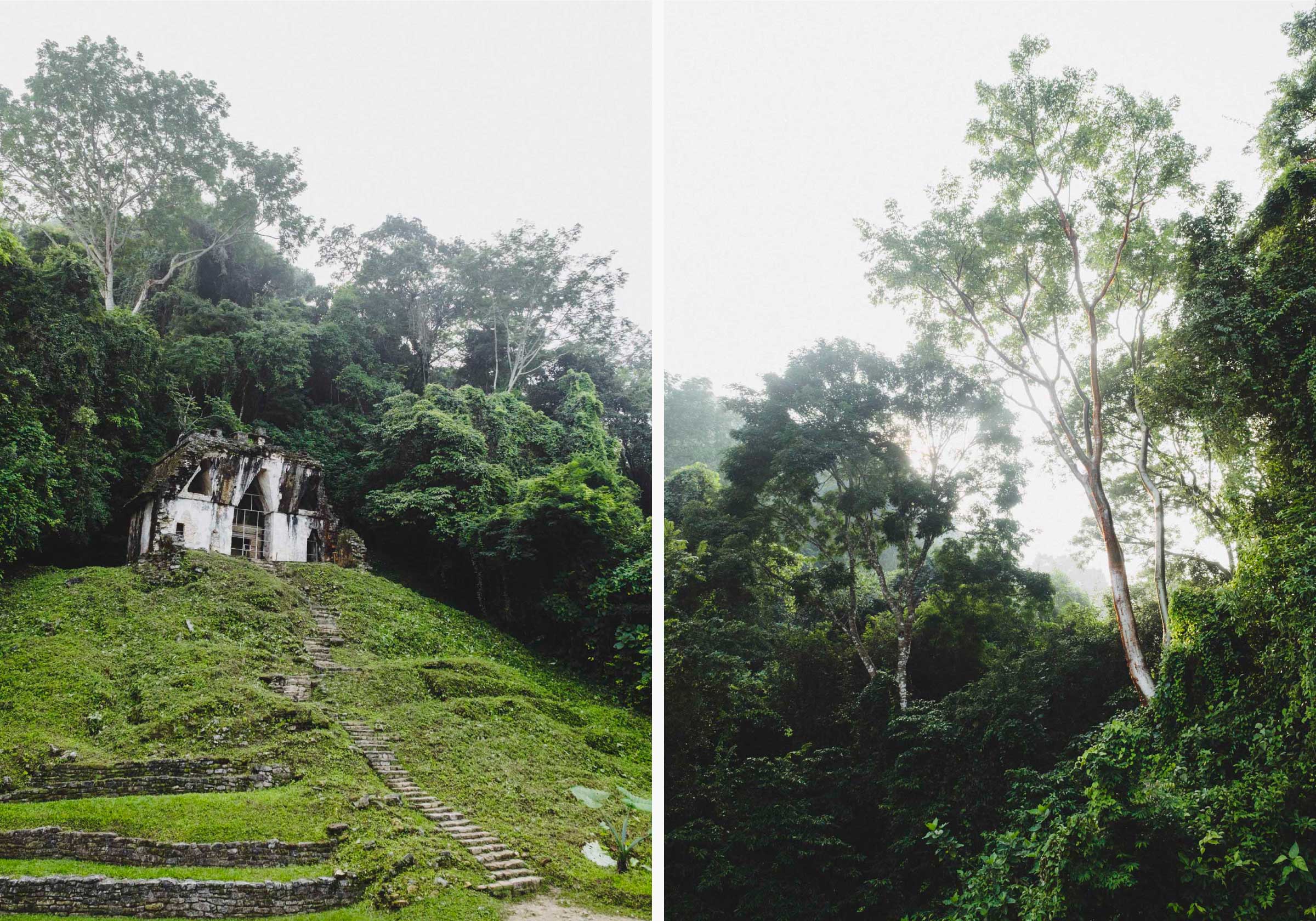 The ruins of Palenque