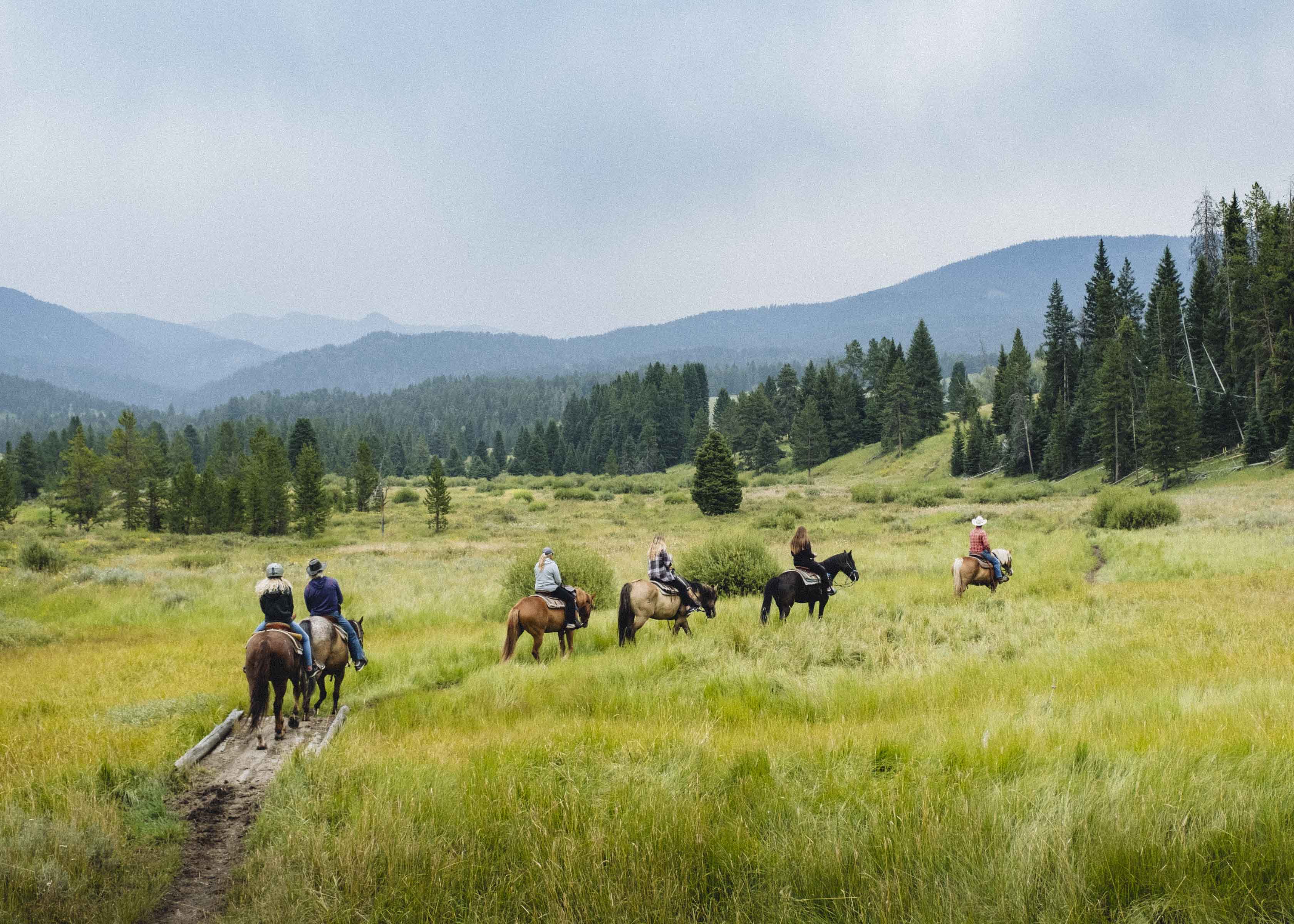 Riding horses through the Porcupine Meadows in the Custer Gallatin National Forest
