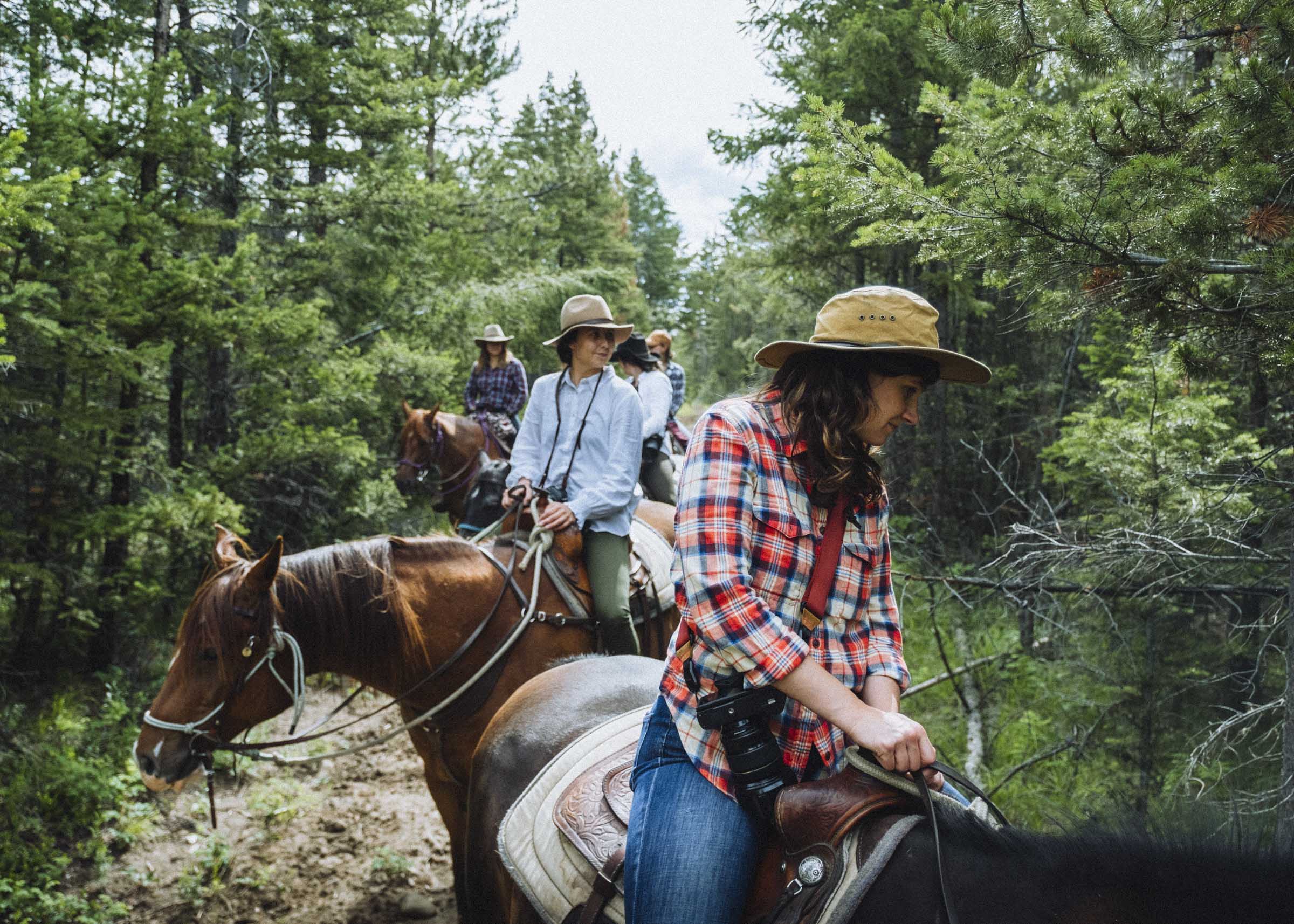 Riding horses through the vast pine forests of the BC interior