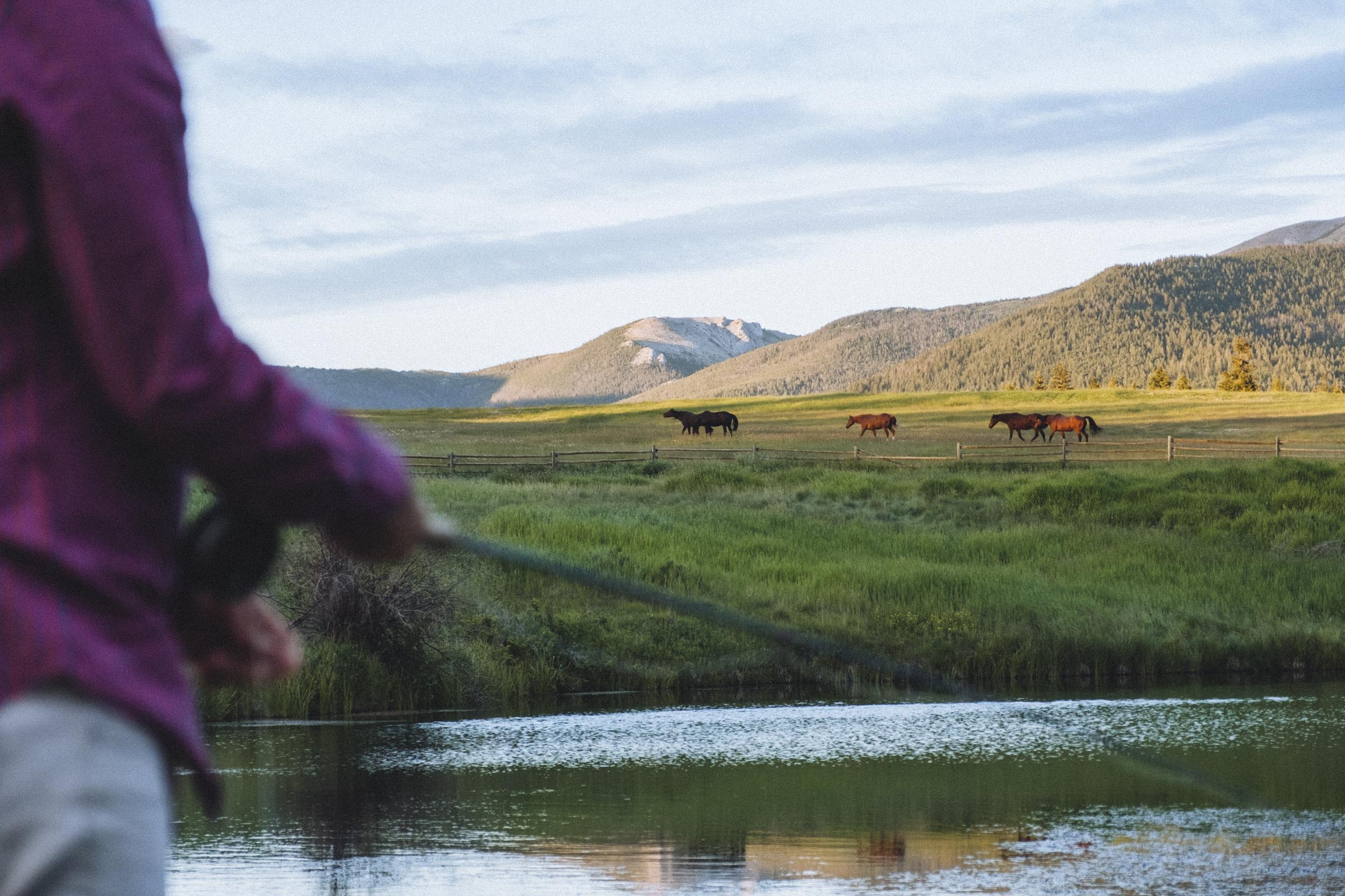 Fly fishing at the Echo Valley guest ranch