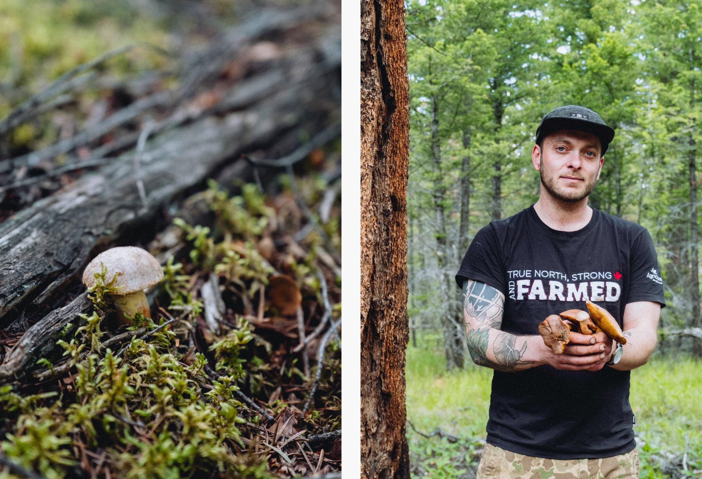 Foraging for mushrooms with chef JK Gosselin