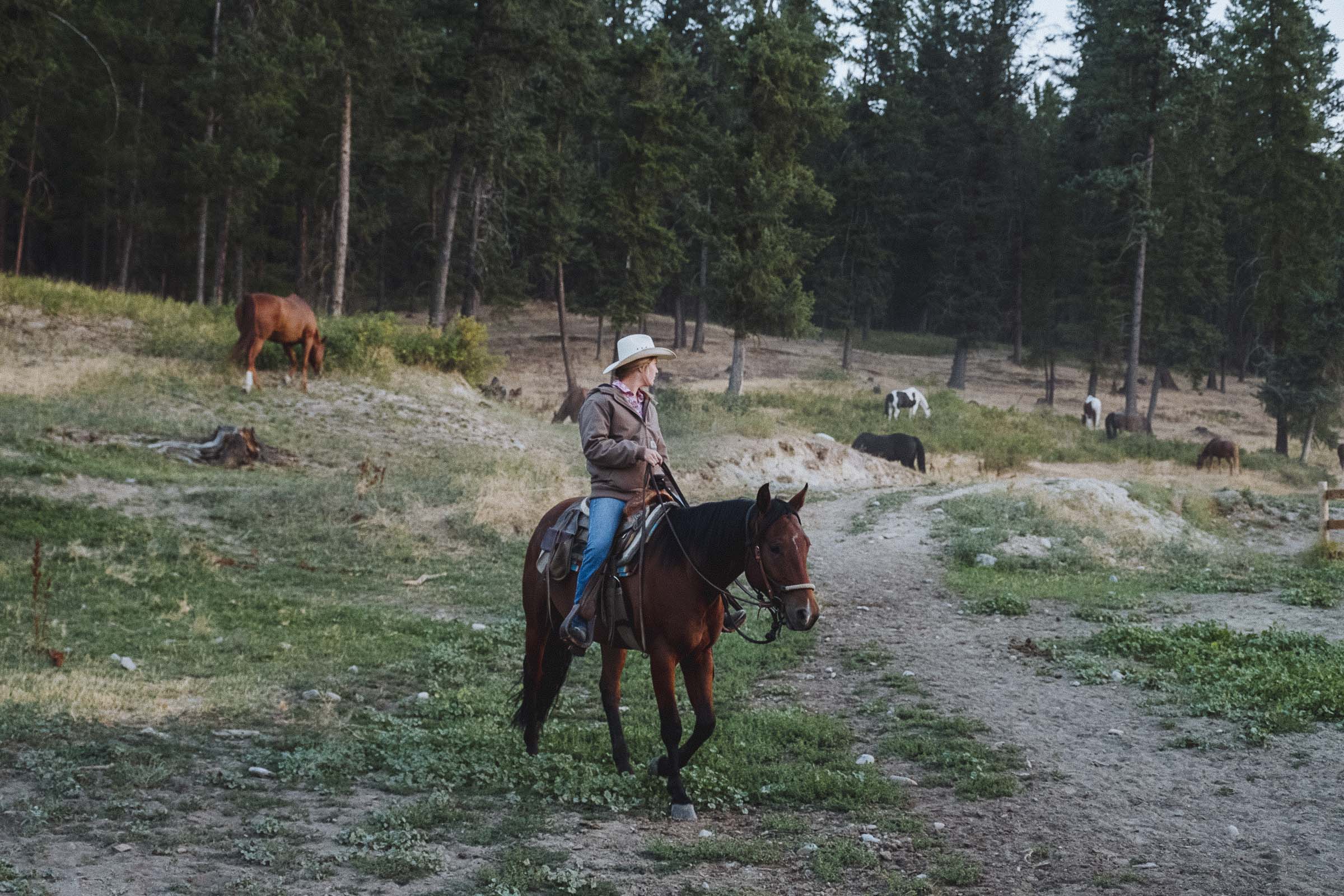 Riding horses in BC