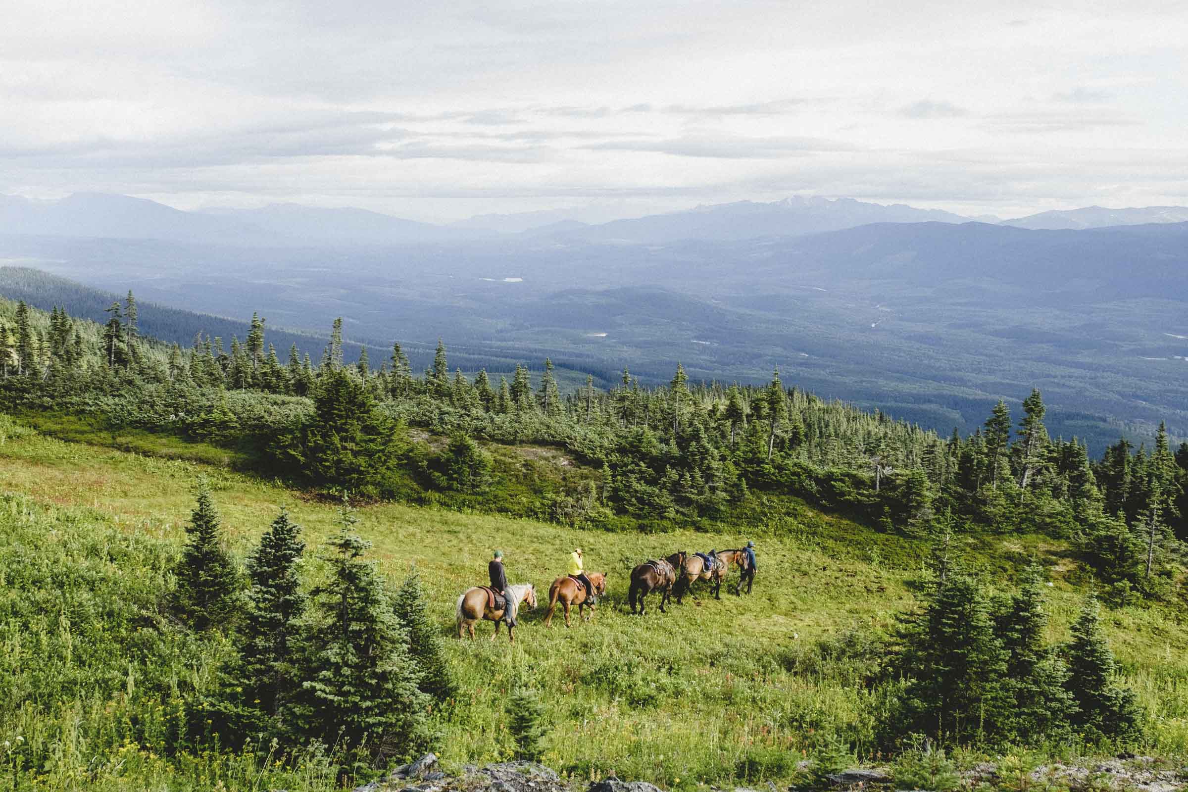 Riding horses in the hills of Hazelton and Smithers