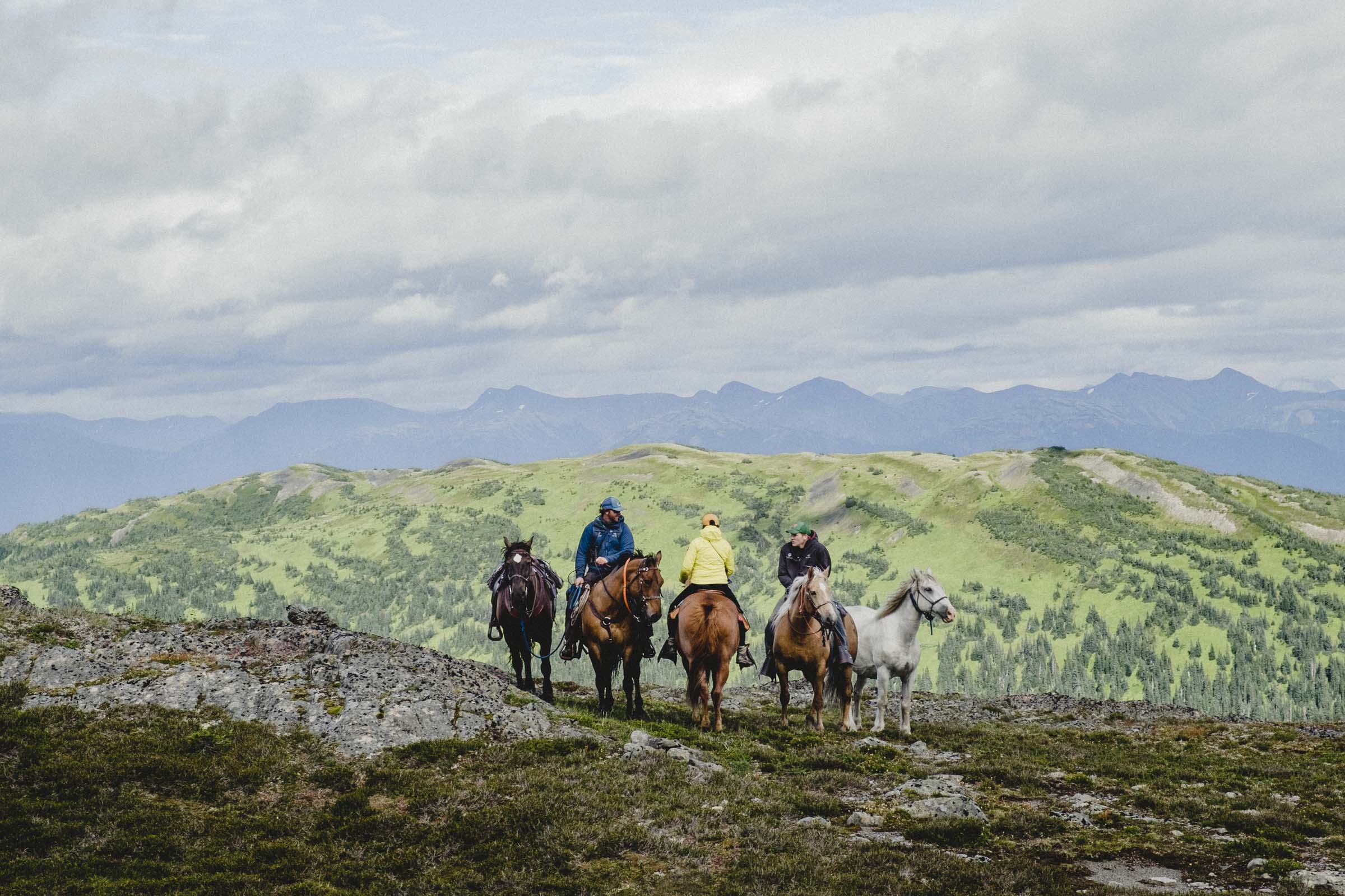 Riding horses in the Skeena Mountains