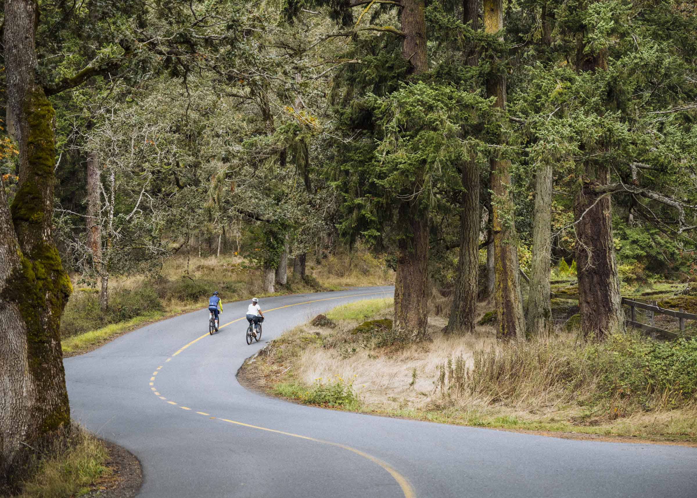 Riding bicycles along the rolling roads of the Saanich Highlands
