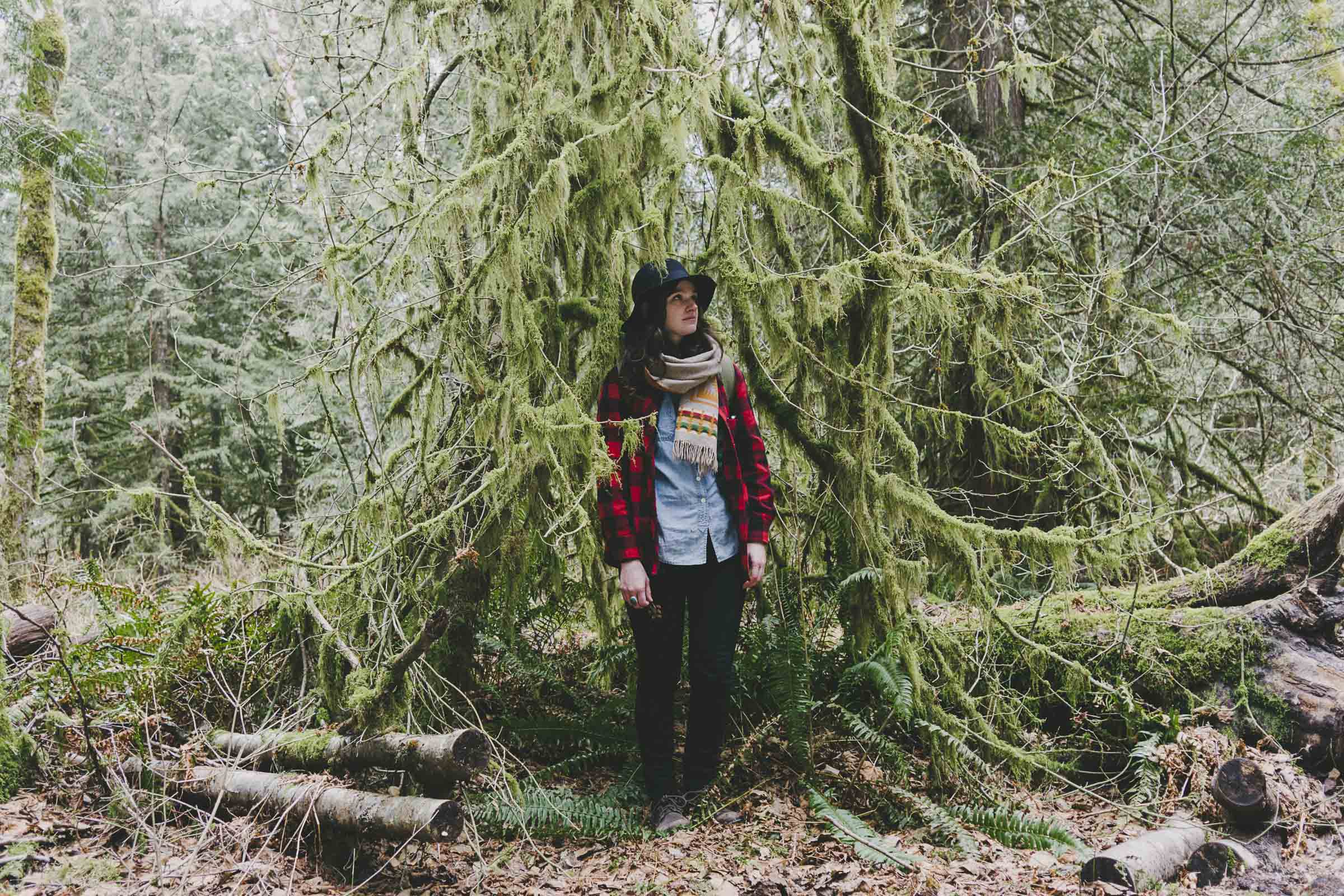 Mossy forests in Golden Ears