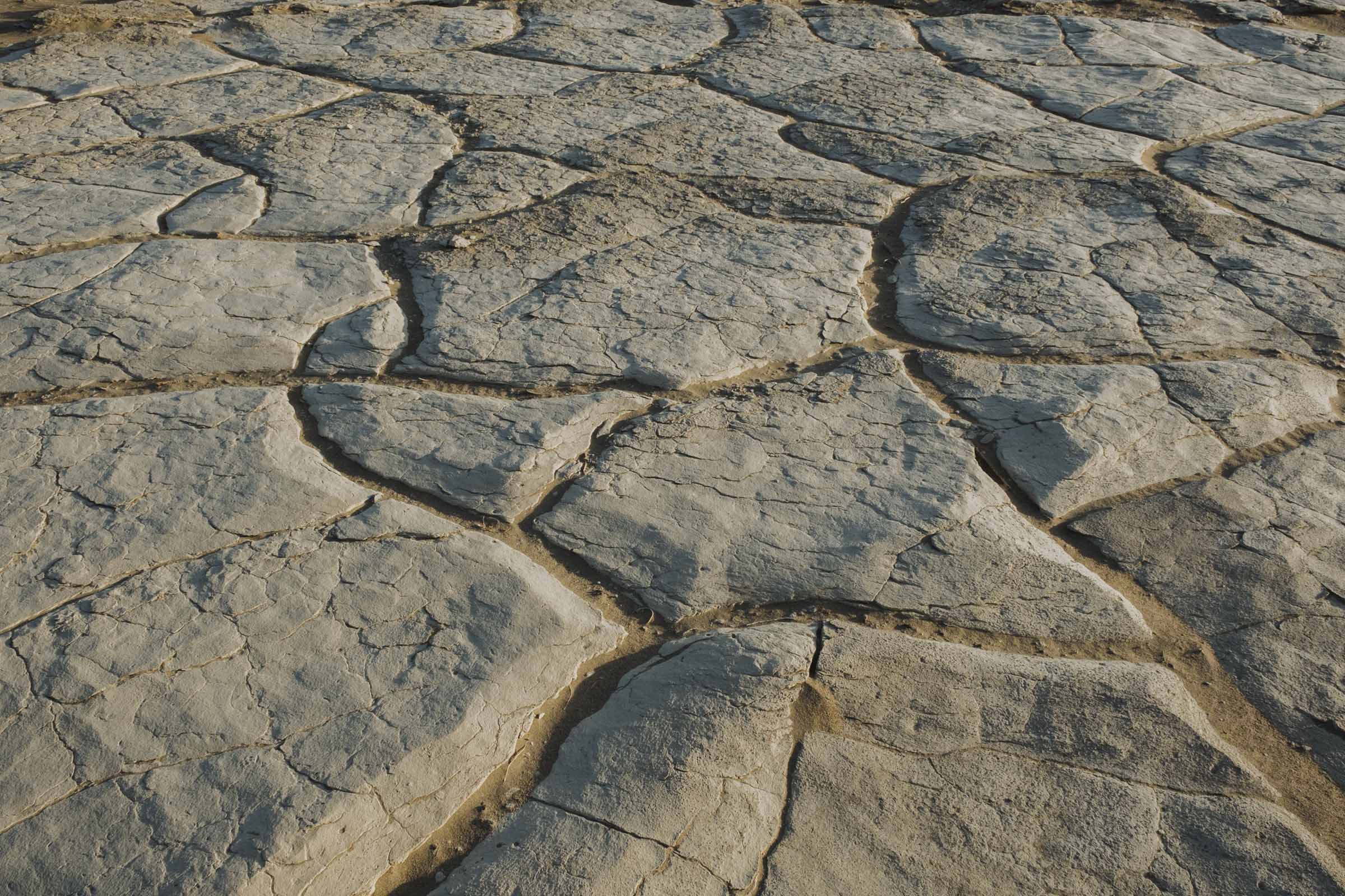 Cracked mud floors in Death Valley