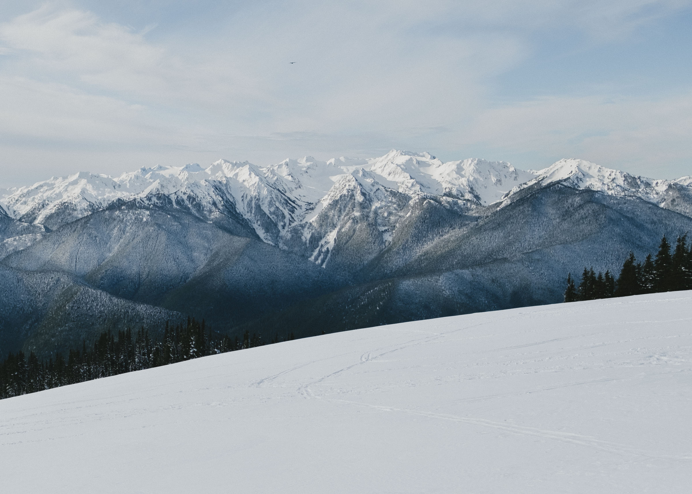 The Olympic Mountains all covered in snow from Hurricane Ridge