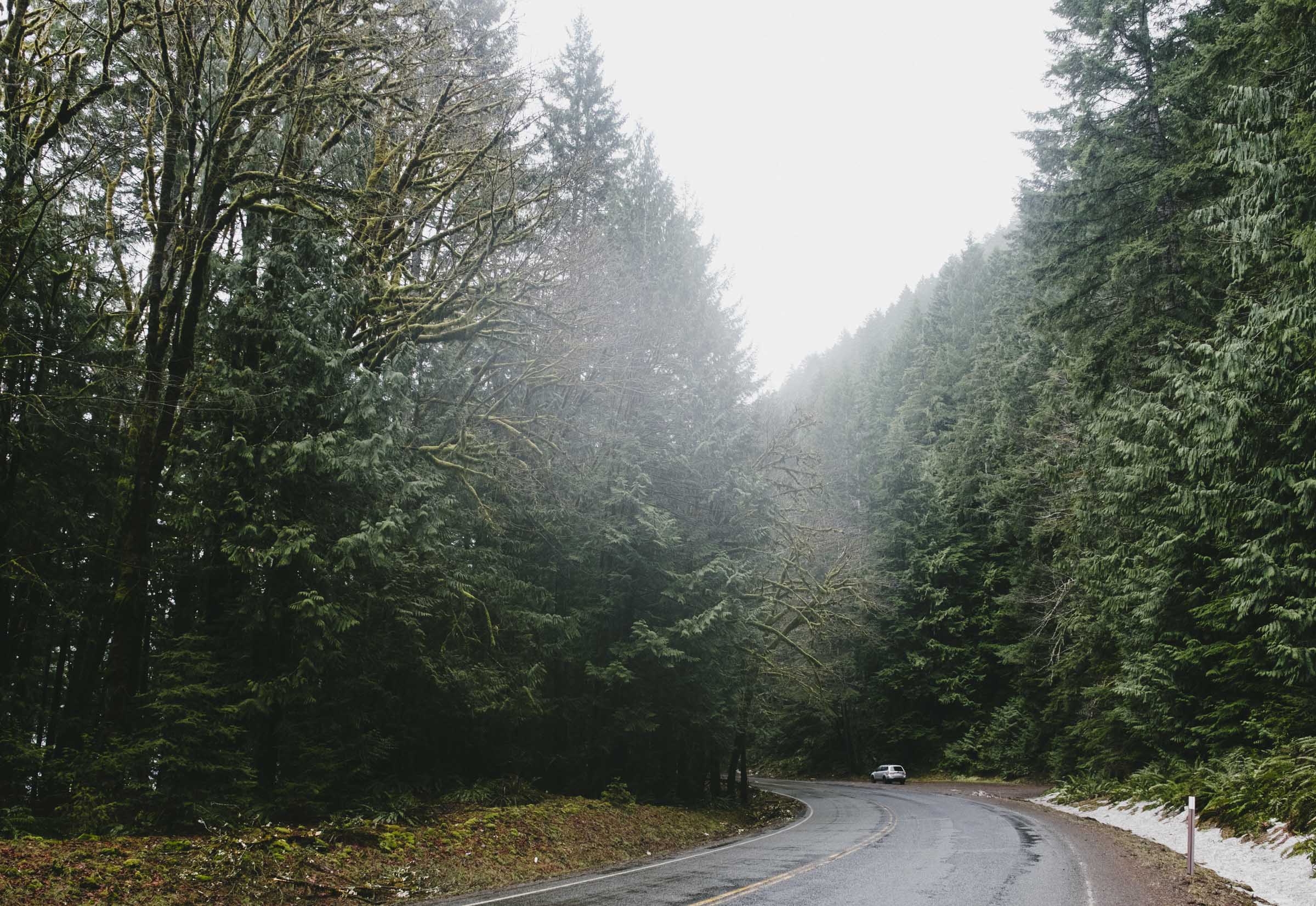 Wet drive through Olympic National Park