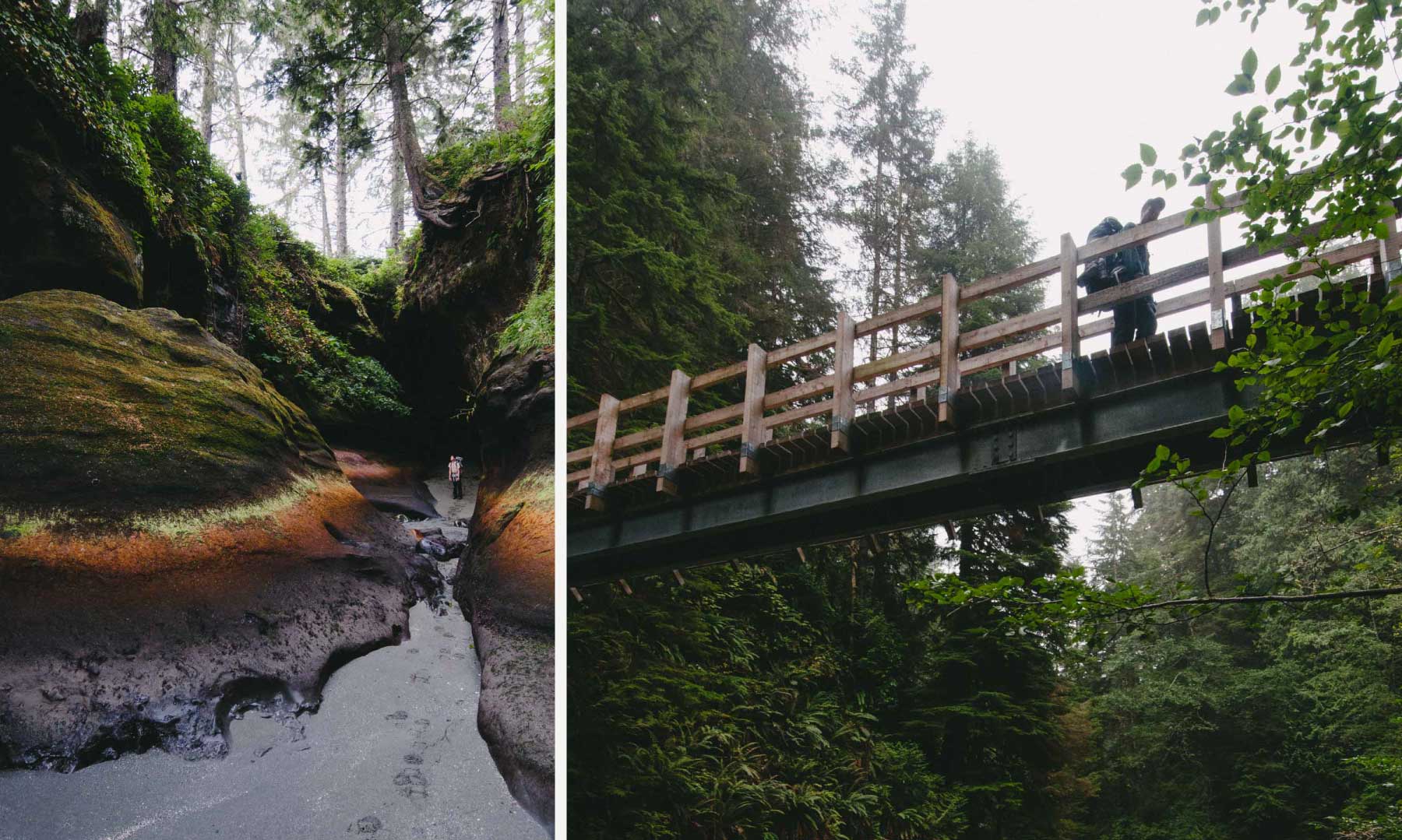Bridges and narrow slot canyons on the rugged coast of Vancouver Island