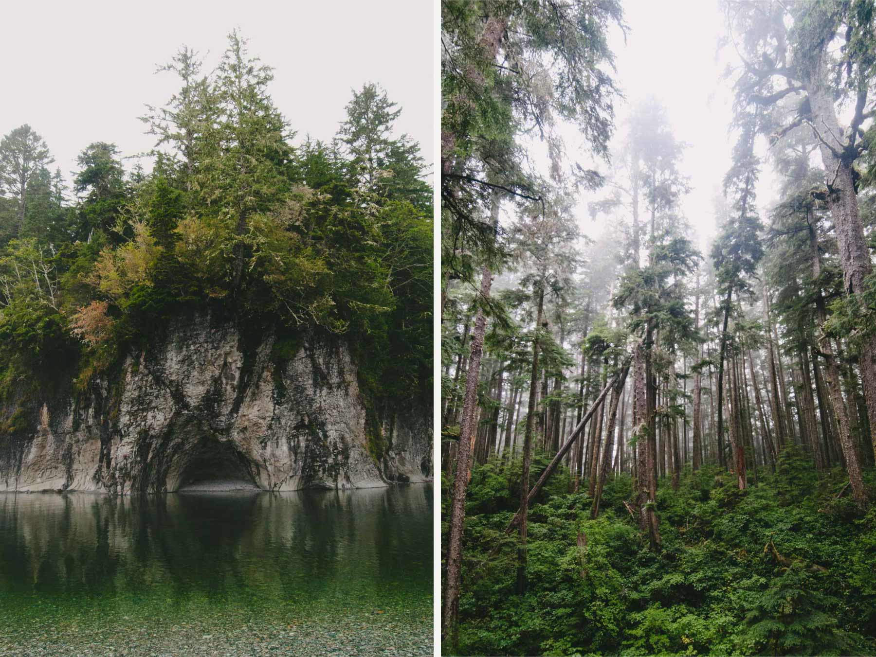 Thick forests and sea caves on the West Coast Trail