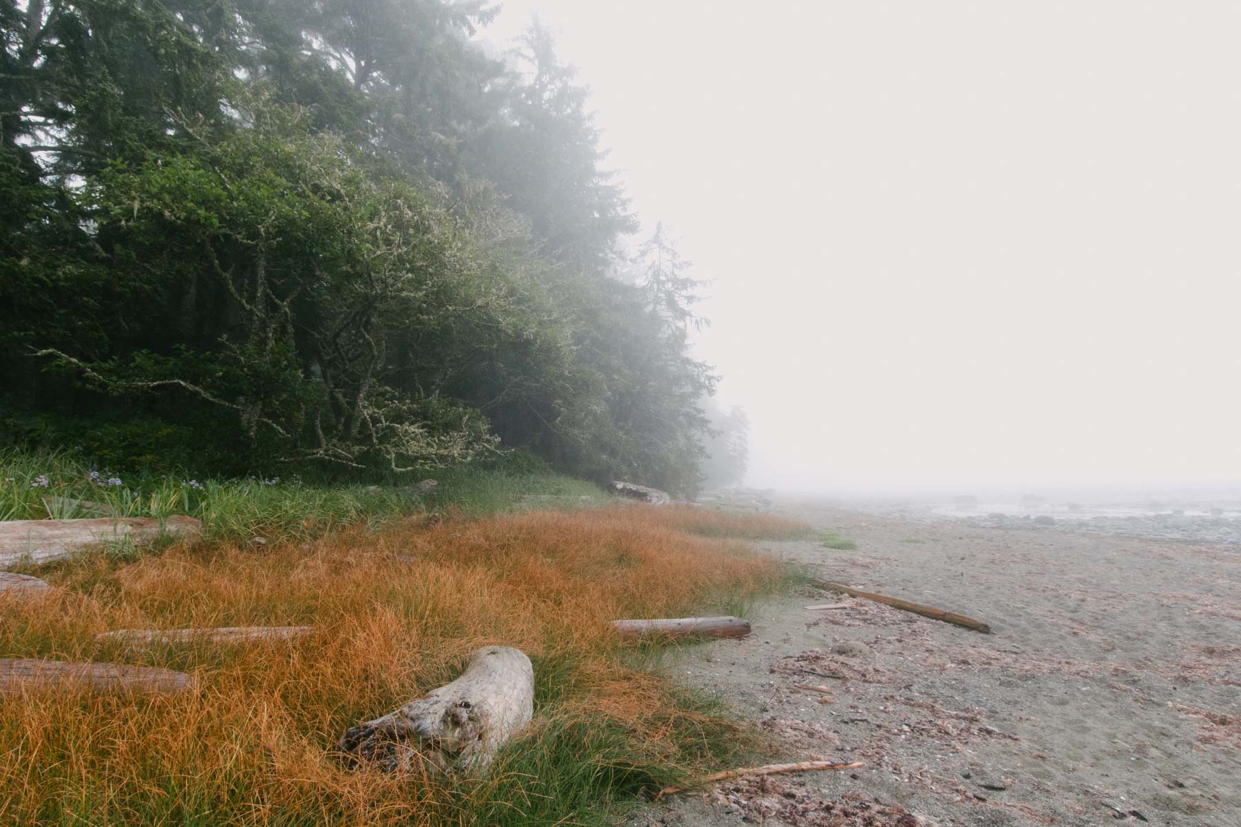 Thick fog on the coast of Vancouver Island