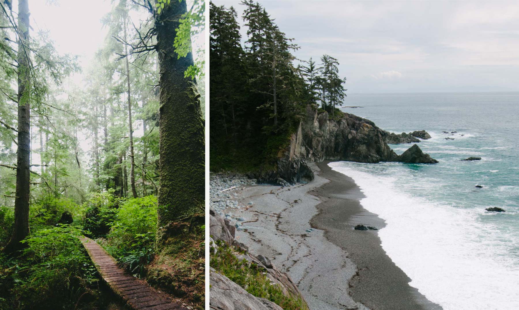 Hiking through forests and rugged rocky seascapes on the West Coast Trail