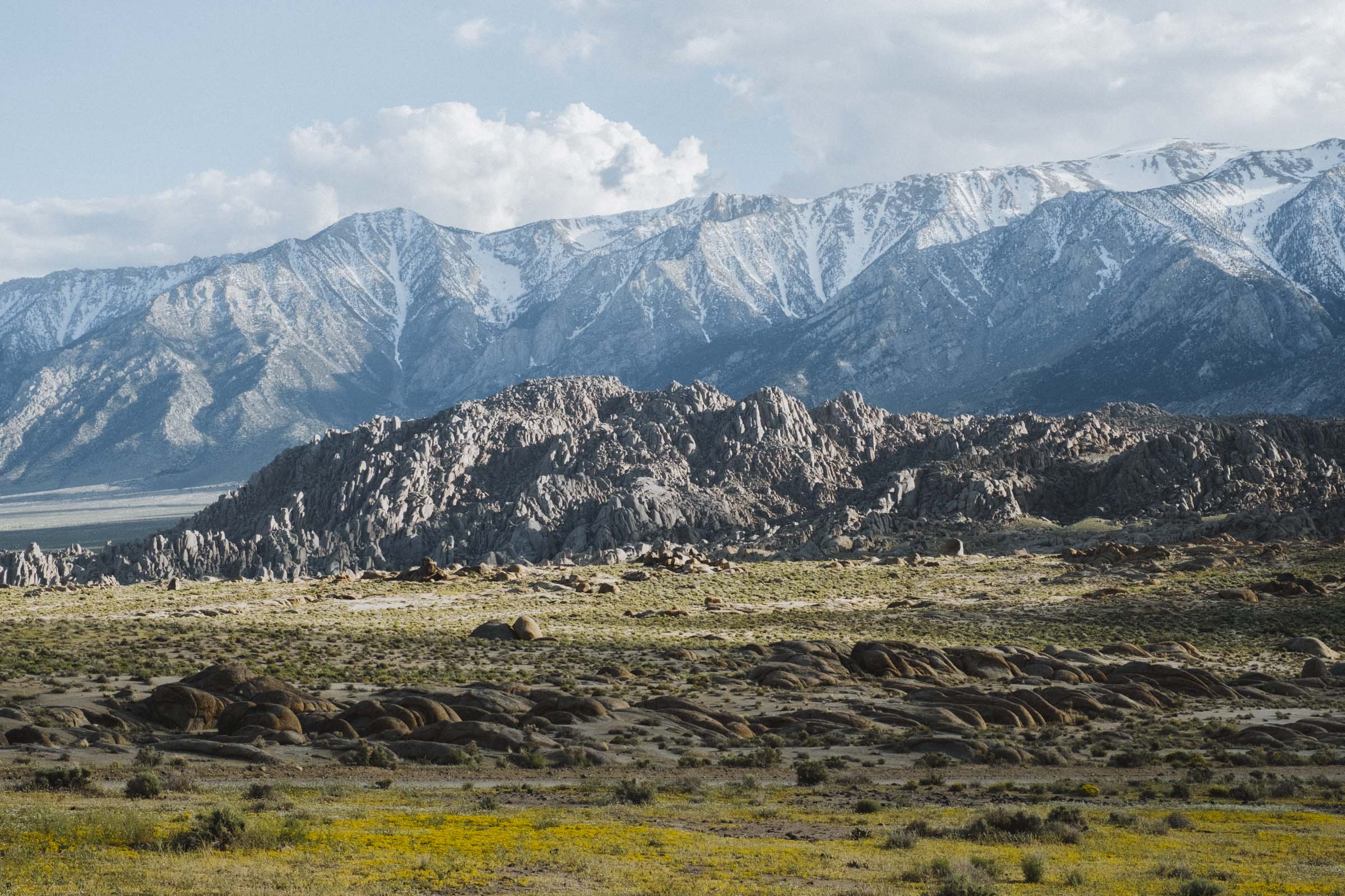 Looking out over the Alabama Hills with the snow-capped Sierras towering above